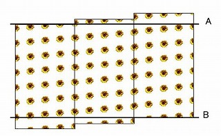 画像の説明 画像の説明